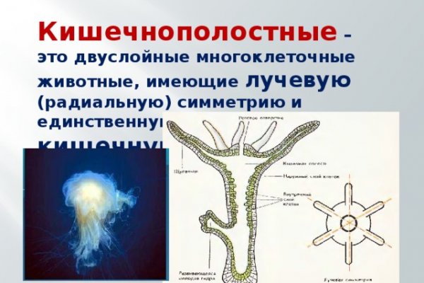 Mega ссылка на сайт официальный